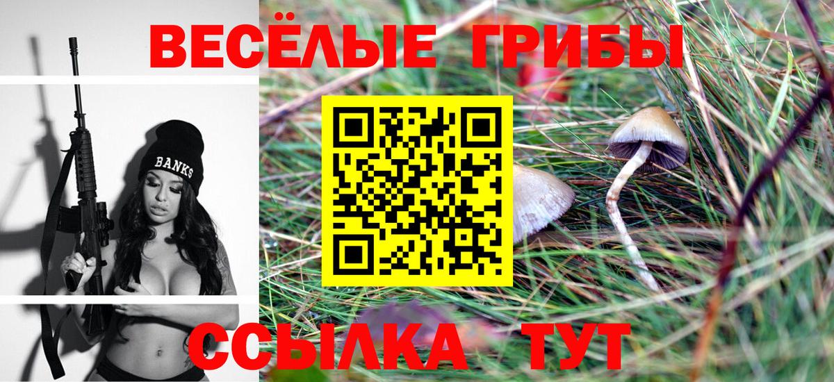 Галлюциногенные грибы прущие грибы  Вход с VPN  Россия  Псилоцибиновые грибы прущие грибы 
